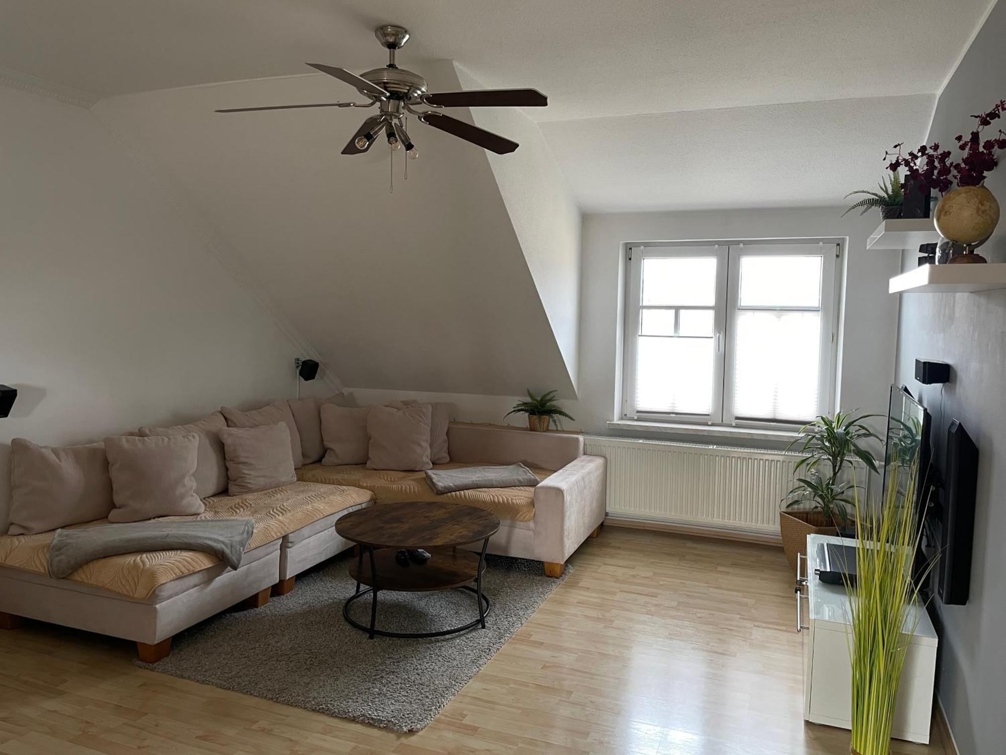 Bambus, Jungle, Dachterrasse & Bequem Bis Zentrum 拉德博伊尔 外观 照片